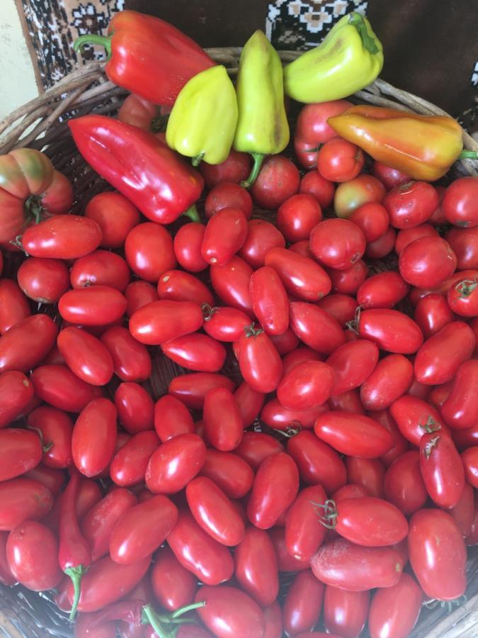 גורי Ekas Rosengarten מראה חיצוני תמונה