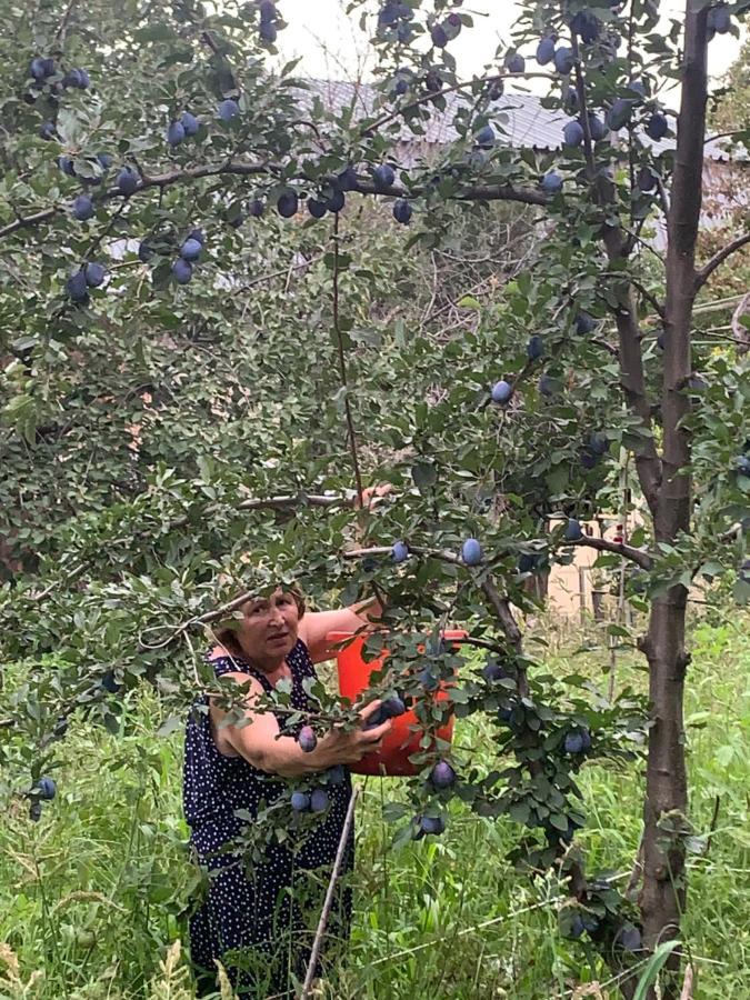 גורי Ekas Rosengarten מראה חיצוני תמונה