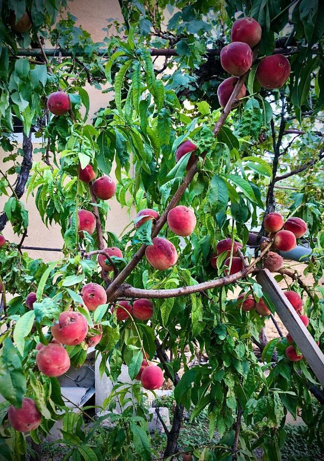 גורי Ekas Rosengarten מראה חיצוני תמונה