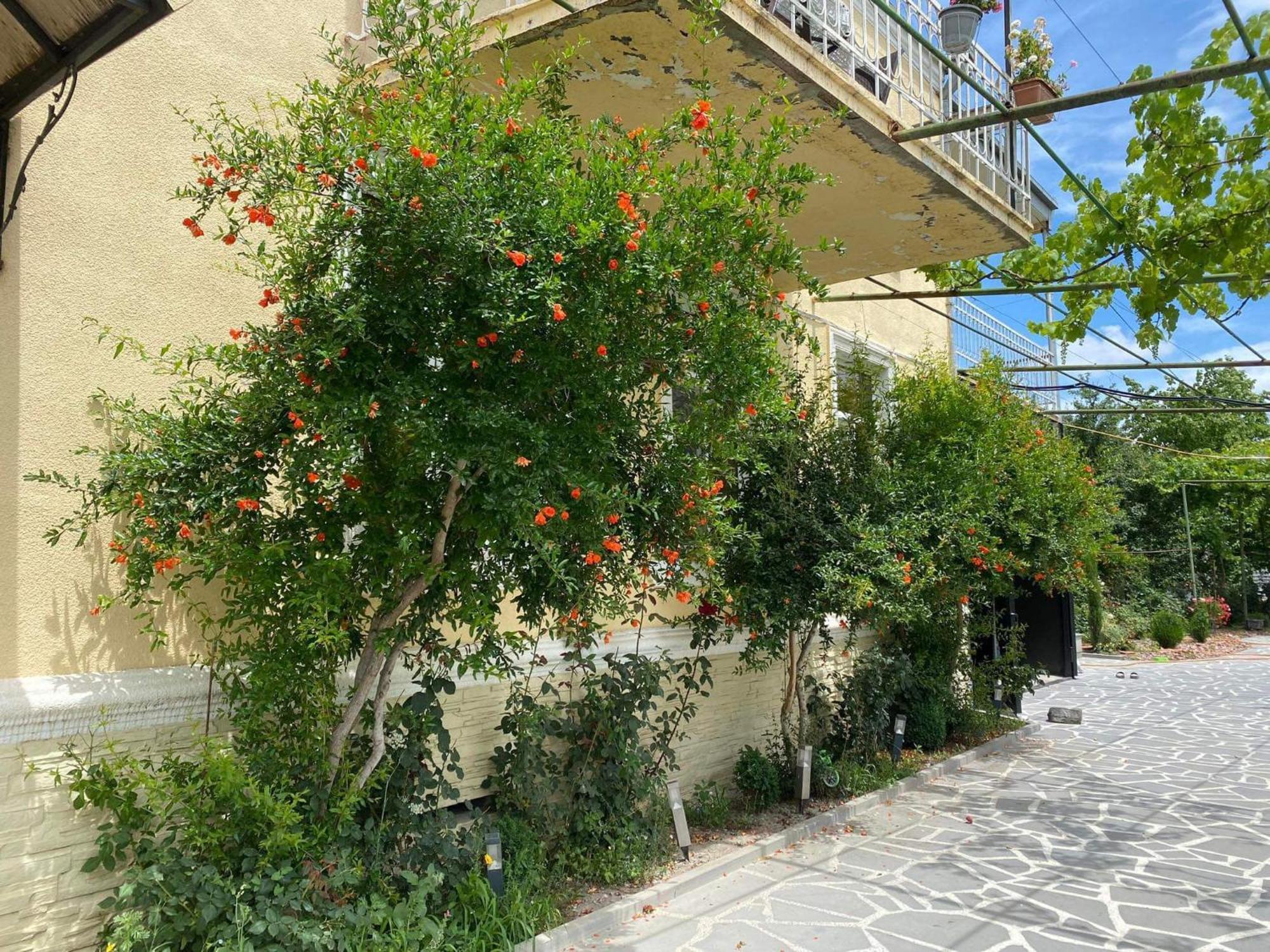 גורי Ekas Rosengarten מראה חיצוני תמונה
