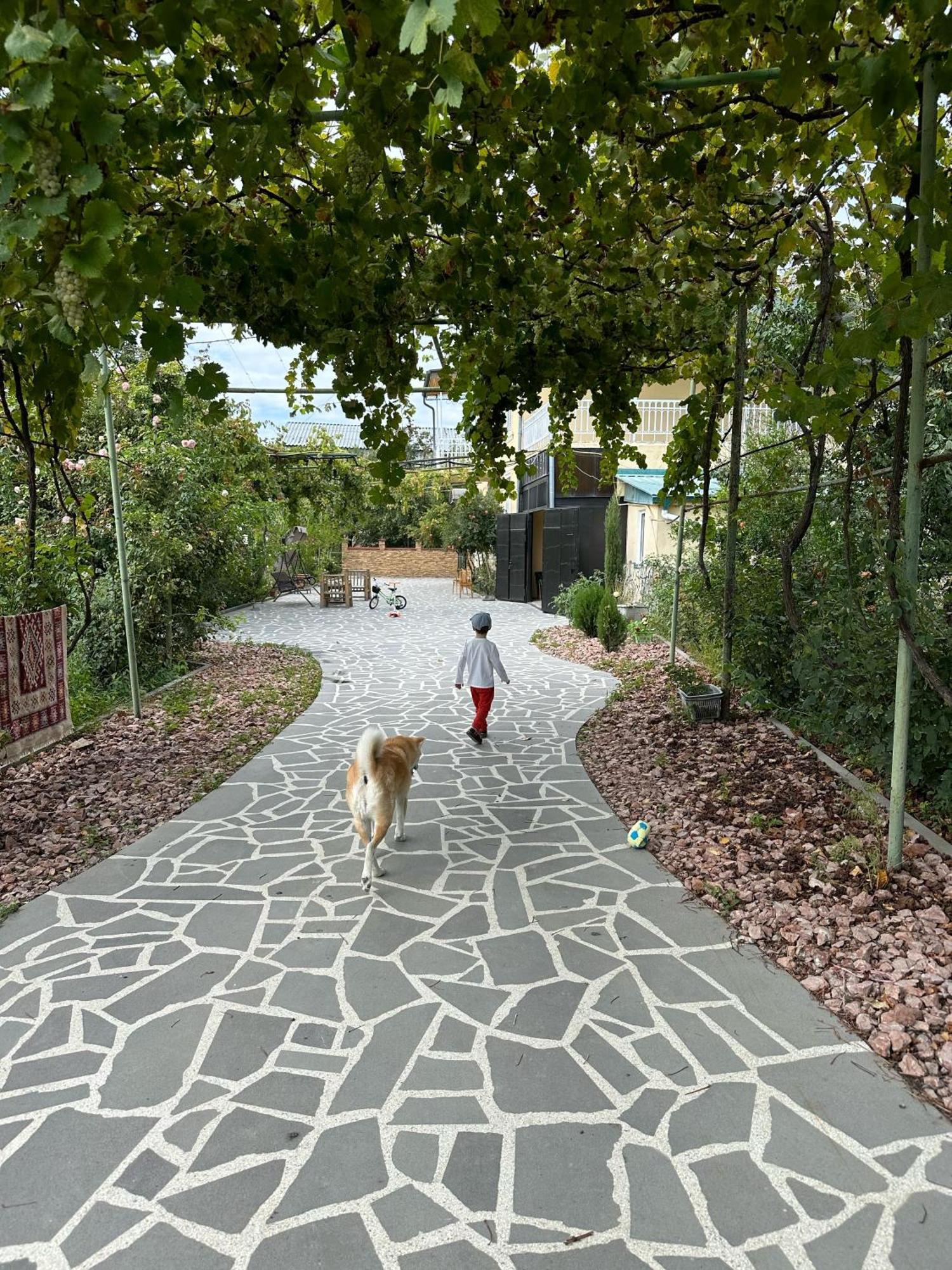 גורי Ekas Rosengarten מראה חיצוני תמונה